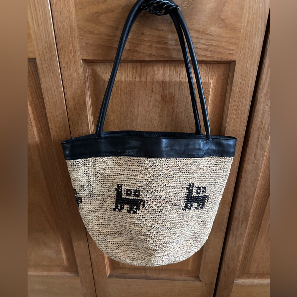 Homero Ortega by Angelica Molina Woven Handbag